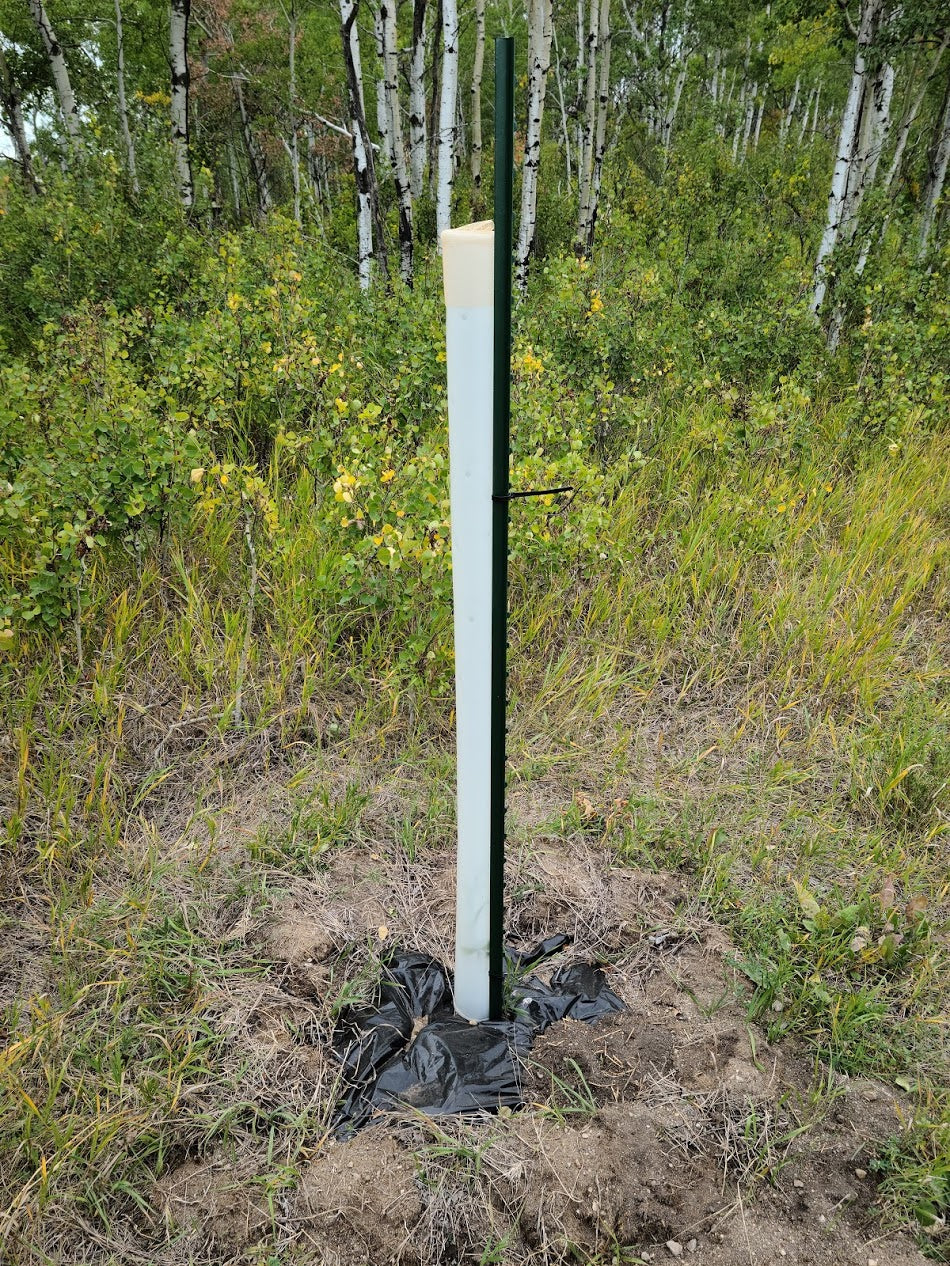 Miracle Tree Tube - Tree Shelter - Grow Tube