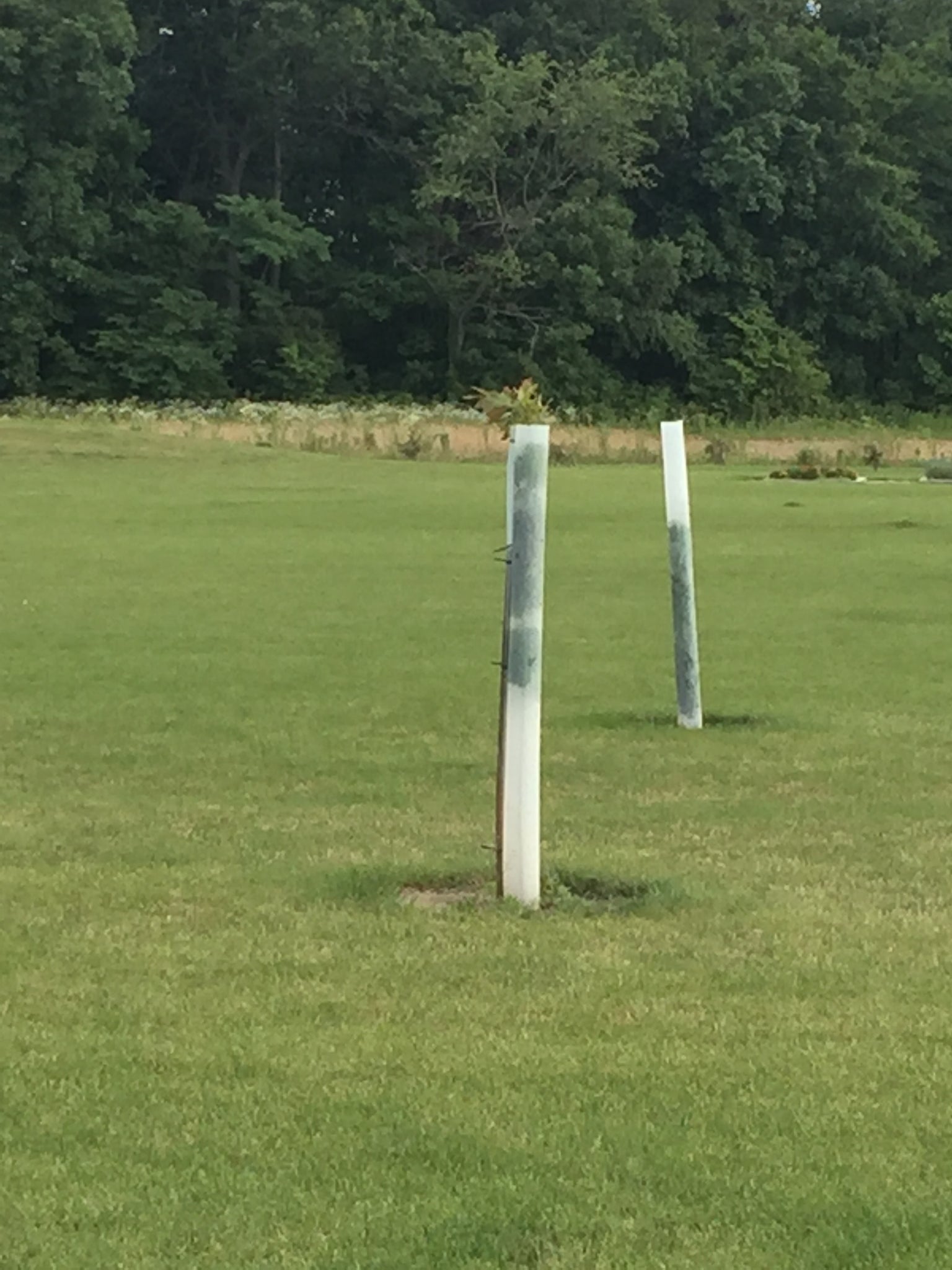 Tree Pro (split tube) ( 5 Pack ) – Tree Tube